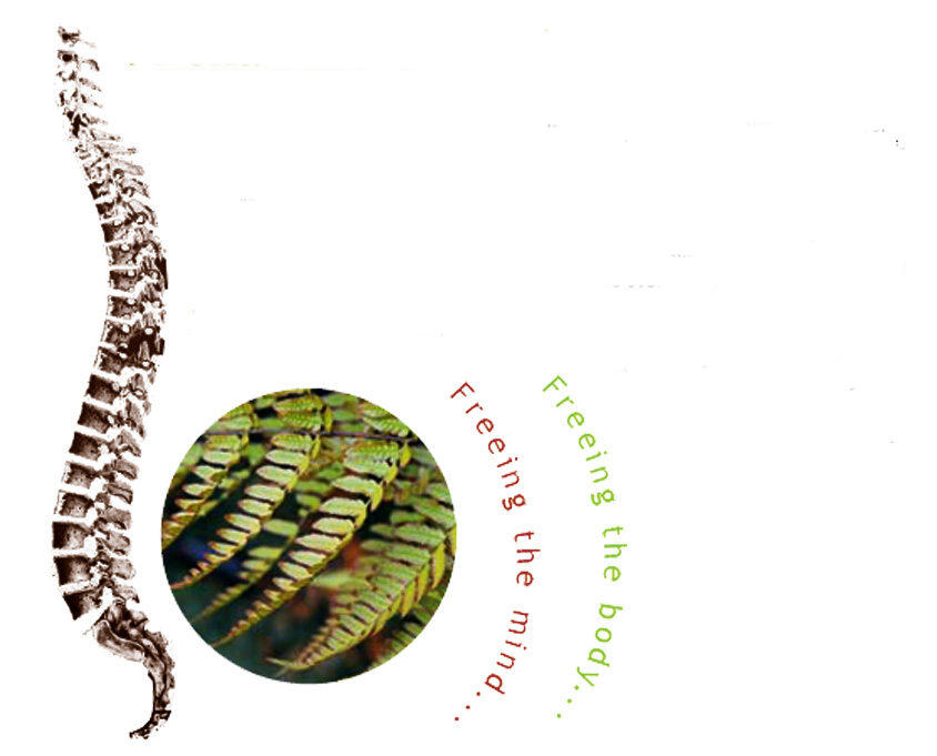 Alexander Technique illustration with fern and spine